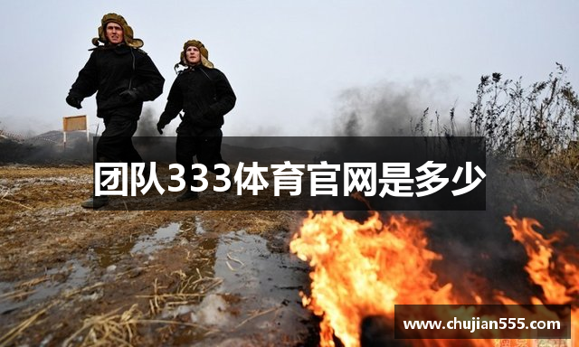 团队333体育官网是多少
